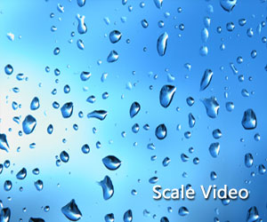 scale video sample